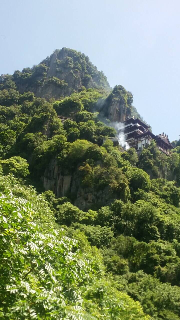 QQ图片20170710172210.jpg