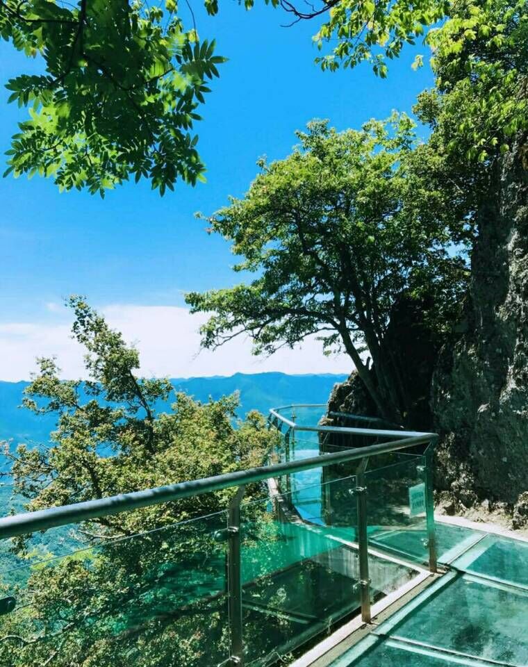 QQ图片20170710173002.jpg