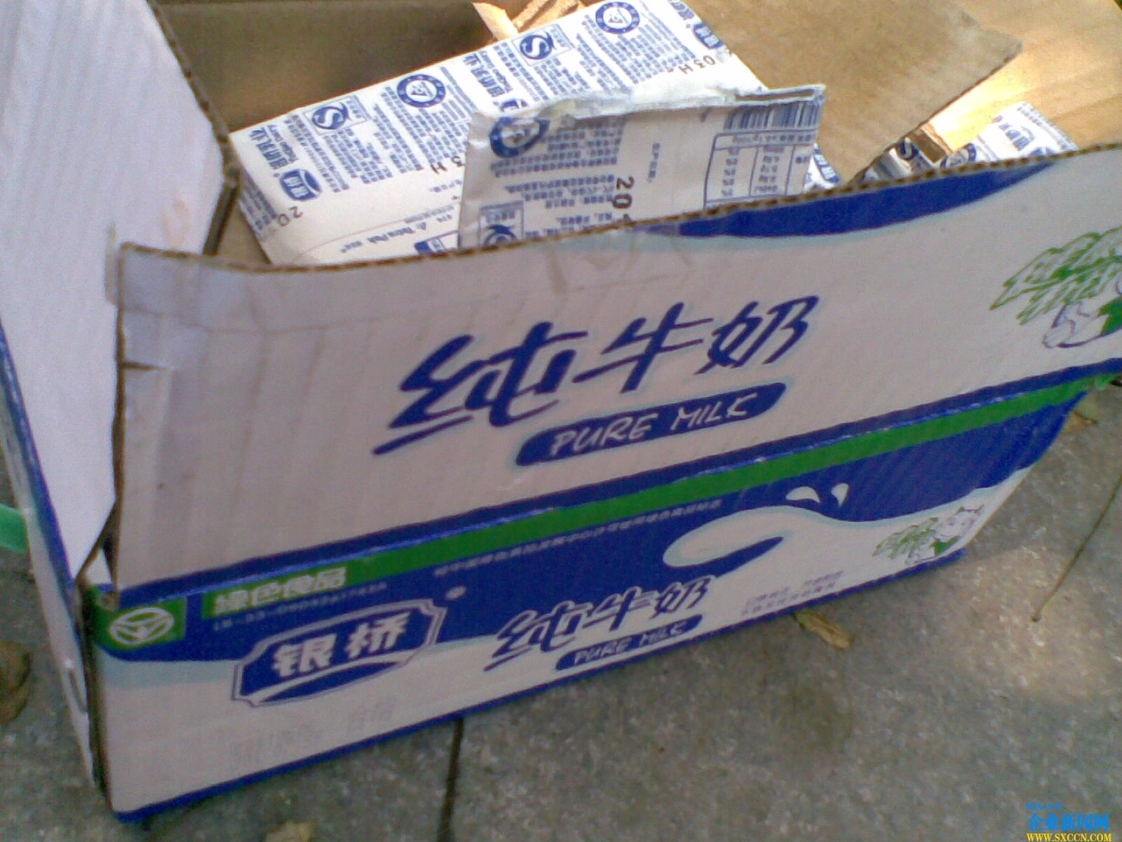 20110623(005).jpg