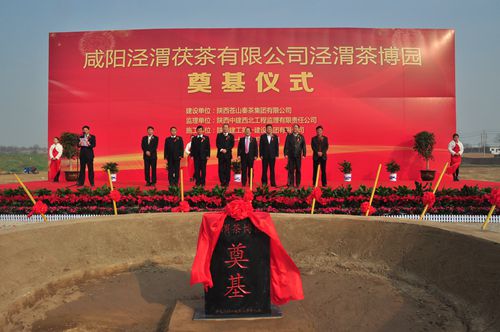 陕建一建集团第七公司承建的泾渭茶博园项目正式奠基