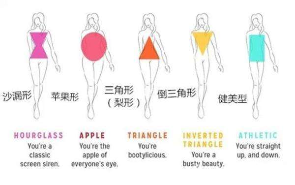 企业 企业要闻        一,苹果型身材:又称为椭圆型身材或o型身材