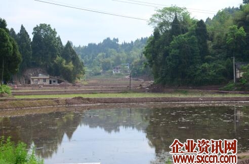 QQ截图20200507002758.jpg