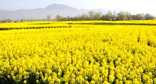 QQ图片20140423085307.jpg