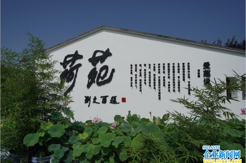 QQ图片20160728212723.jpg