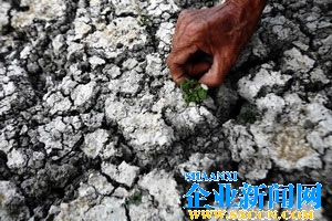 ӱżҿڳеµ489Ķũ־